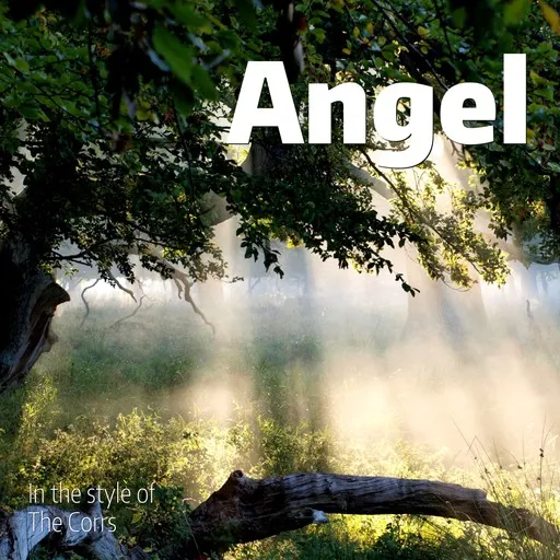 Karaoke Angel by The Corrs — sing along with lyrics on Singa
