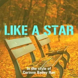 Cover art for Like a Star - Corinne Bailey Rae karaoke version