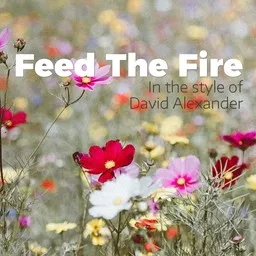 Cover art for Feed The Fire - David Alexander karaoke version