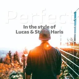 Cover art for Perfect - Haris,Lucas & Steve karaoke version
