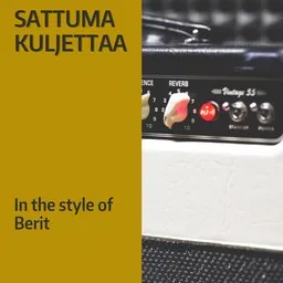 Cover art for Sattuma kuljettaa - Berit karaoke version
