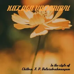 Cover art for Kalaga Vachinavu - Chithra,S. P. Balasubrahmanyam karaoke version