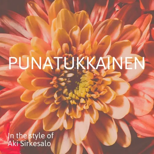 Punatukkainen - Karaoke