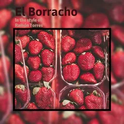 Omslagsbild för El Borracho - Ramón Torres karaokeversion