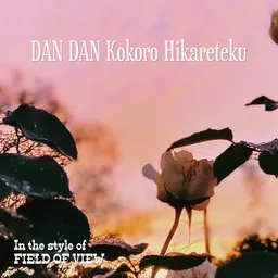 Cover art for DAN DAN Kokoro Hikareteku - FIELD OF VIEW karaoke version