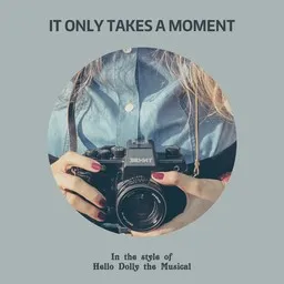Titelbild für It Only Takes A Moment - Hello Dolly the Musical Karaoke-Version