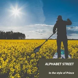 Omslagsbild för Alphabet Street - Prince karaokeversion