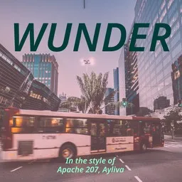 Titelbild für Wunder - Apache 207,AYLIVA Karaoke-Version