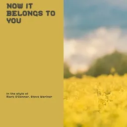 Cover art for Now It Belongs To You - Mark O’Connor,Steve Wariner karaoke version