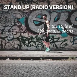 Cover art for Stand Up (Radio Version) - Ludacris,Shawnna karaoke version