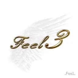 Cover art for Cały ten świat - Feel karaoke version