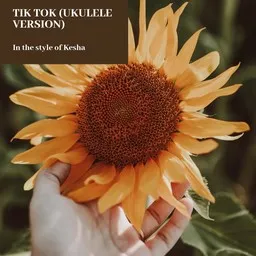 Titelbild für TiK ToK (Ukulele Version) - Kesha Karaoke-Version