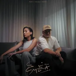 Cover art for E vina mea - Nicole Cherry,Puya karaoke version