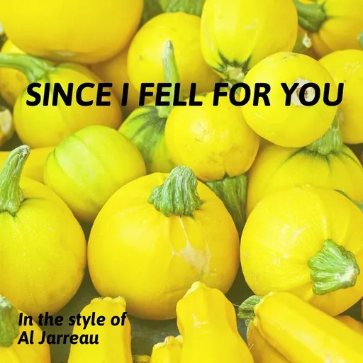 Since I Fell For You - Karaoke