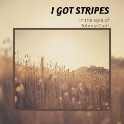 Cover art for I Got Stripes - Johnny Cash karaoke version