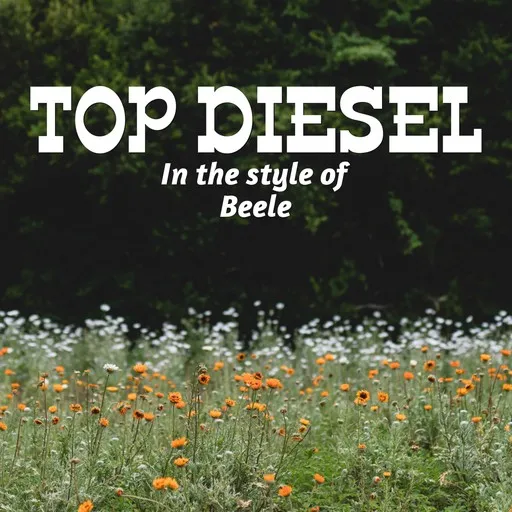 Karaoke Top Diesel by Beele — sing along with lyrics on Singa