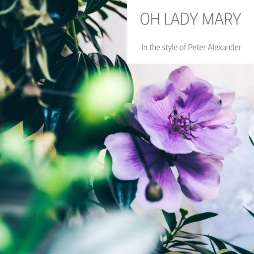 Karaoke Oh Lady Mary von Peter Alexander — mit Songtext mitsingen auf Singa