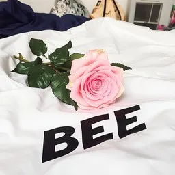 Cover art for Silkkiin verhoiltuna - Bee,Jambo karaoke version