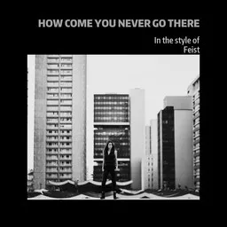 Cover art for How Come You Never Go There - Feist karaoke version