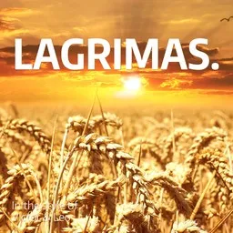 Cover art for Lagrimas. - Victor & Leo karaoke version