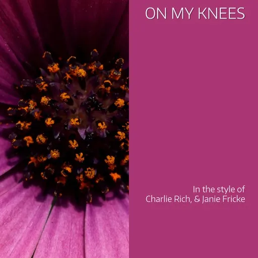 On My Knees - Karaoke