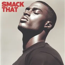 Cover art for Smack That - Akon,Eminem karaoke version