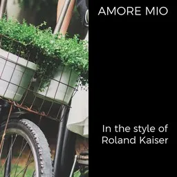 Cover art for Amore mio - Roland Kaiser karaoke version