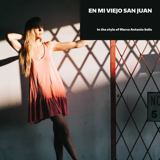 Karaoke En Mi Viejo San Juan by Marco Antonio Solís — sing along with lyrics on Singa