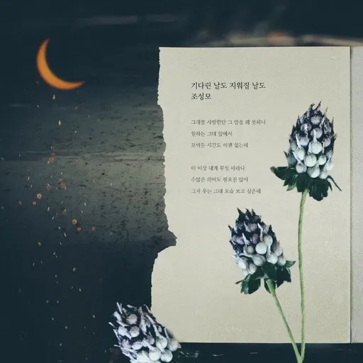 Karaoke 기다린 날도 지워질 날도 av 조성모 — sjung med på texten på Singa