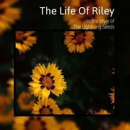 Karaokekappaleen The Life Of Riley - The Lightning Seeds kansikuva