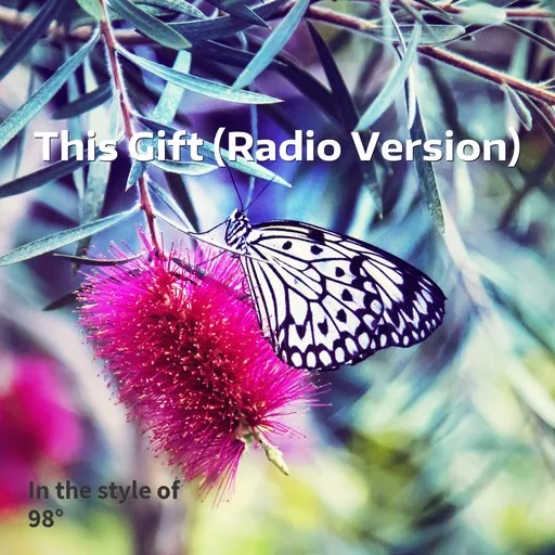 This Gift (Radio Version) - Karaoke