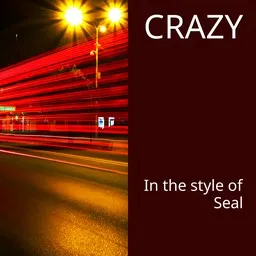 Cover art for Crazy - Seal karaoke version