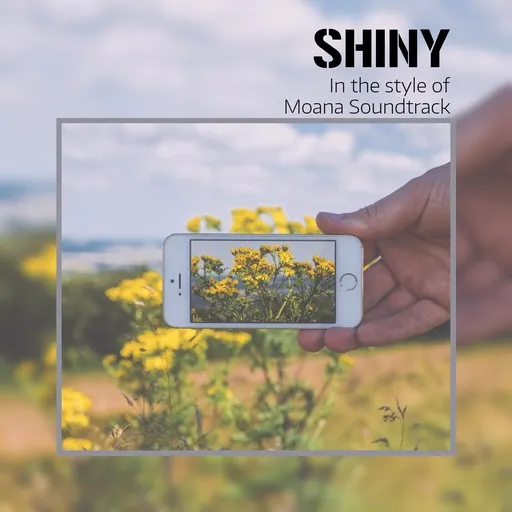 Shiny - Karaoke