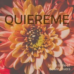 Cover art for Quiereme - Edwin Rivera karaoke version