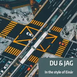 Cover art for Du & jag - Einár karaoke version