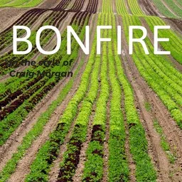 Cover art for Bonfire - Craig Morgan karaoke version