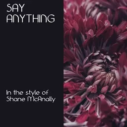 Karaokekappaleen Say Anything - Shane McAnally kansikuva