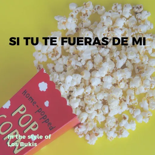 Si Tu Te Fueras De Mi - Karaoke