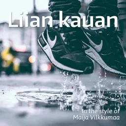 Omslagsbild för Liian kauan - Maija Vilkkumaa karaokeversion
