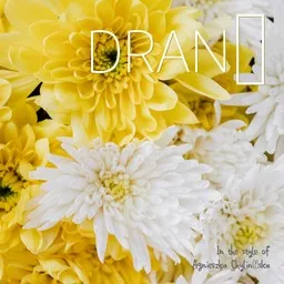 Cover art for Drań - Agnieszka Chylińska karaoke version