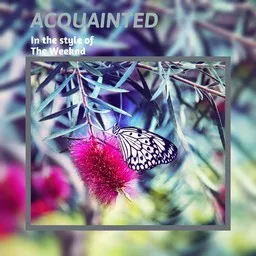 Karaokekappaleen Acquainted - The Weeknd kansikuva