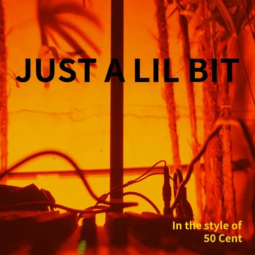 Just A Lil Bit - Karaoke