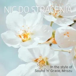 Titelbild für Nic Do Stracenia - Mrozu,Sound 'n' Grace Karaoke-Version