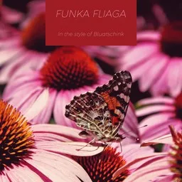 Karaokekappaleen Funka fliaga - Bluatschink kansikuva
