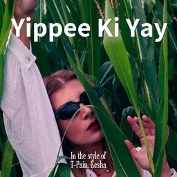 Titelbild für Yippee Ki Yay - Kesha,T-Pain Karaoke-Version