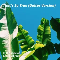 Cover art for That’s So True (Guitar Version) - Gracie Abrams karaoke version