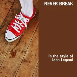 Omslagsbild för Never Break - John Legend karaokeversion