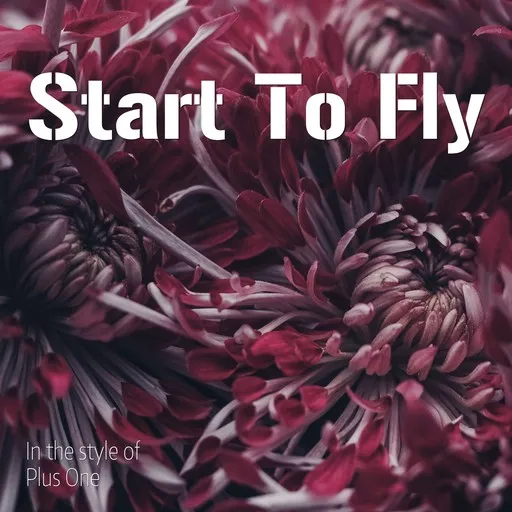 Start To Fly - Karaoke