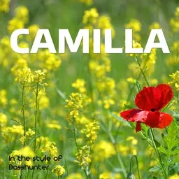 Omslagsbild för Camilla - Basshunter karaokeversion