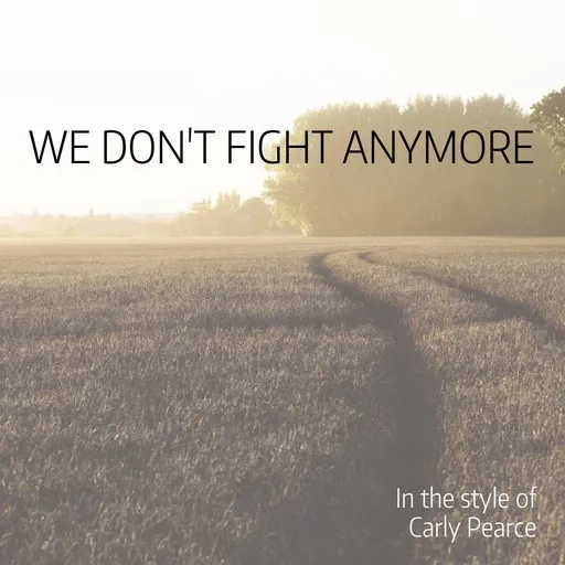 We Don't Fight Anymore - Karaoke
